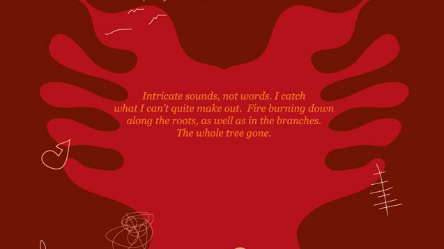 Myra Melford Image 28b