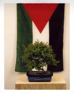 Daniel Joseph, Image 2, Ch. 3