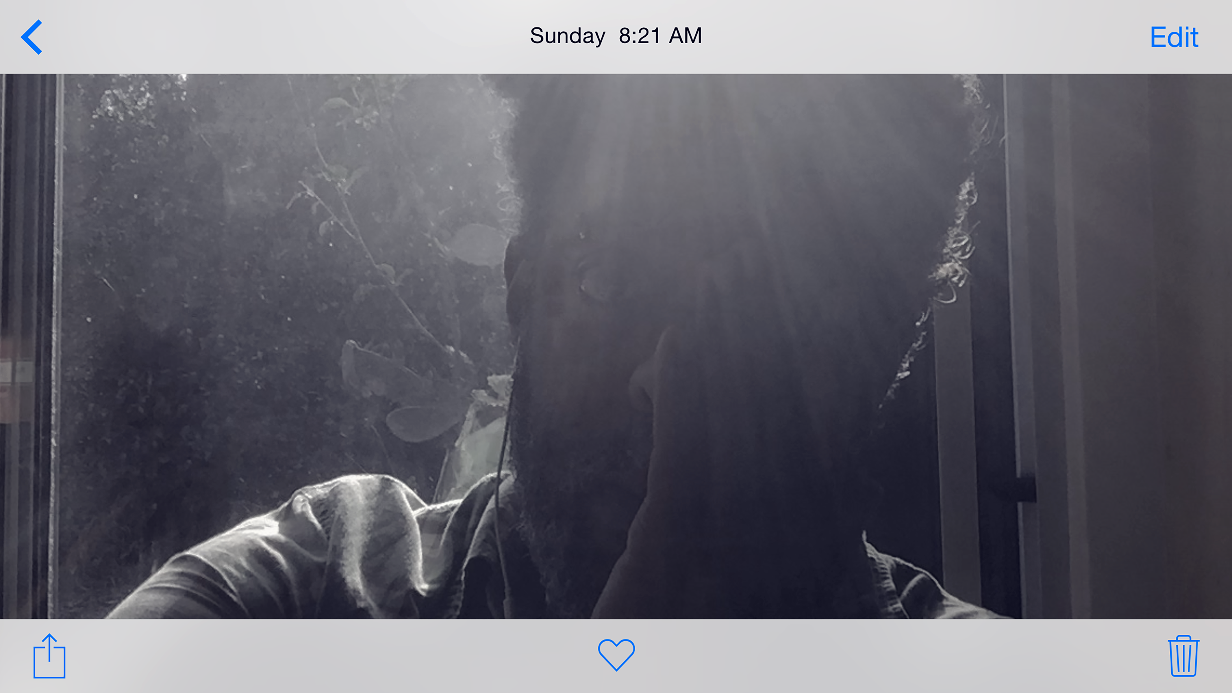 Menu background