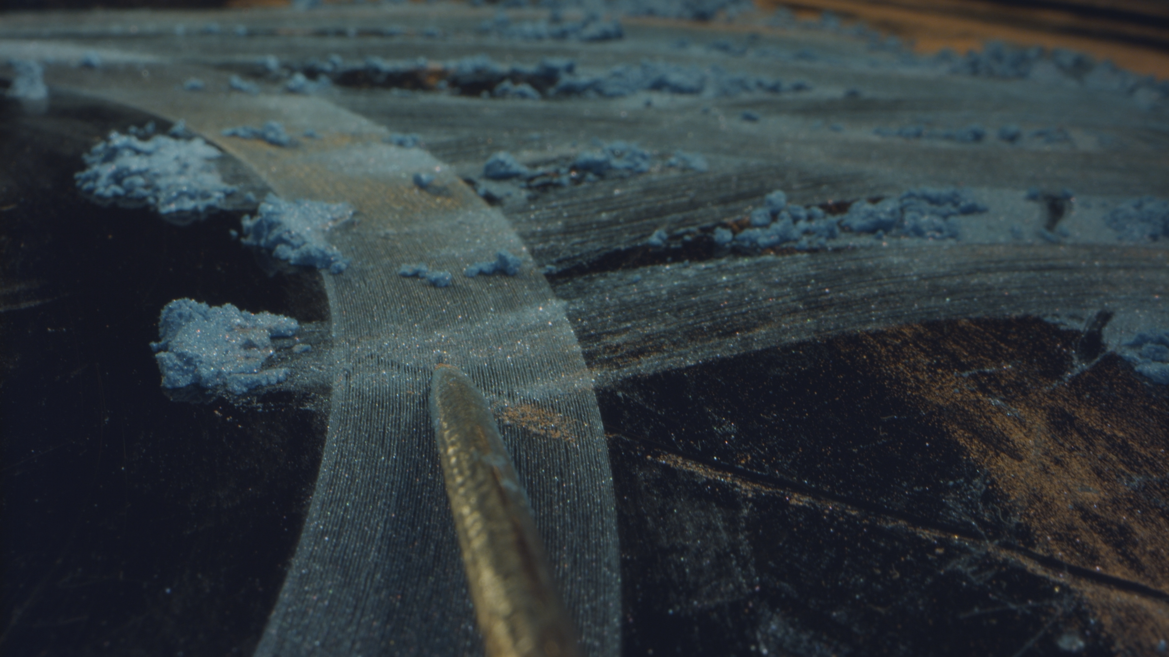 Marina Rosenfeld,  µ, still from a color video, 2024